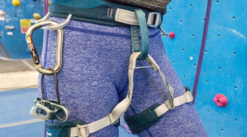 Climbing harness